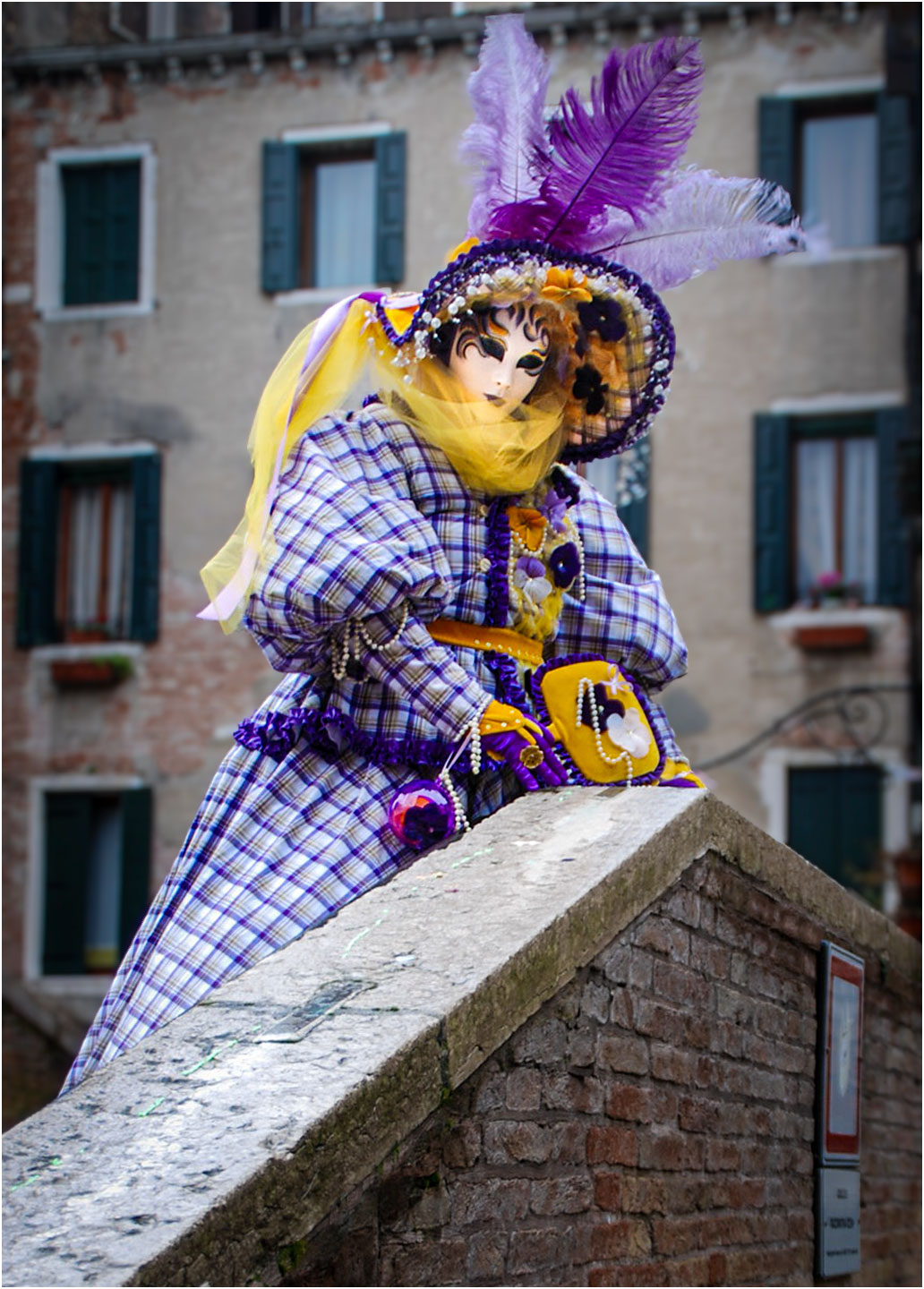 3rd PrizeOpen Color In Class 2 By Raymond Finkleman For Carnival Of Venice OCT-2023.jpg